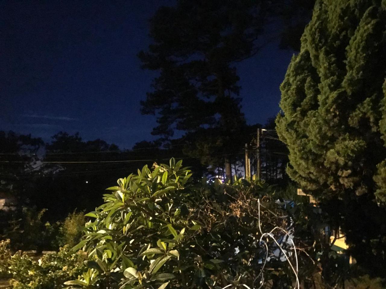 Windy House Da Lat Exterior foto